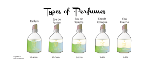 Different Types Of Perfume Explained
