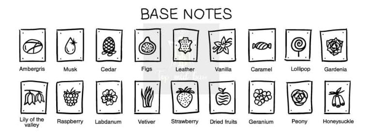 Easy Base Notes Top, Mid And Base Notes Explained