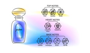 Top, Mid And Base Notes Explained