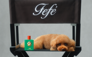 Dolce & Gabbana Launches “Fefé” A New Dog Perfume