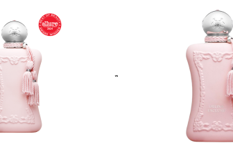 delina_vs_delina_exclusif